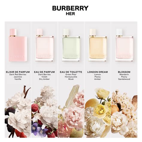 elixir de parfum burberry|Burberry her vs elixir.